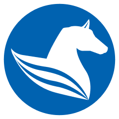 PEGASUS