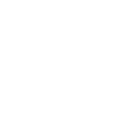 PEGASUS