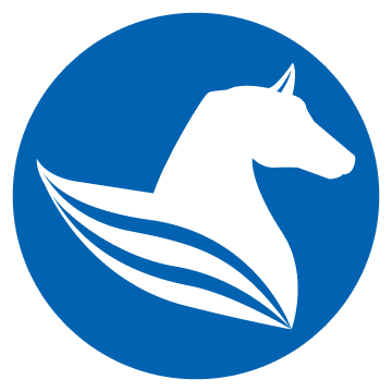 PEGASUS